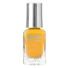Gelly Hi Shine Nail Paint
