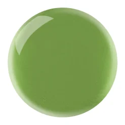 Gelly Hi Shine Nail Paint