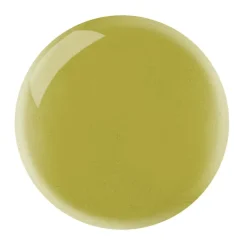 Gelly Hi Shine Nail Paint