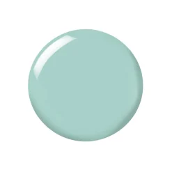 In A Flash Quick Dry Nail Paint