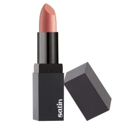 Satin Lip Paint