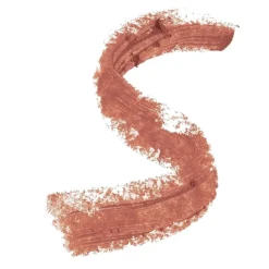Velvet Matte Lip Paint