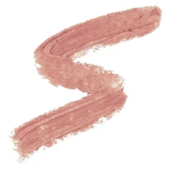 Velvet Matte Lip Paint