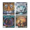 WILDLIFE® 4 Eyeshadow Palette Bundle